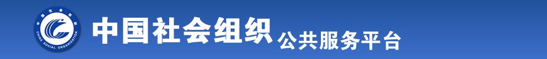 二级男女透逼全国社会组织信息查询